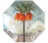 Fritillaria Plate