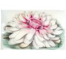 Water Lily Tray